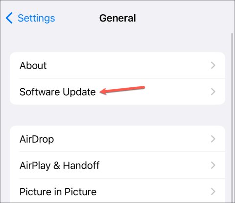 如何在 iPhone 和 iPad 上啟用 Beta 更新