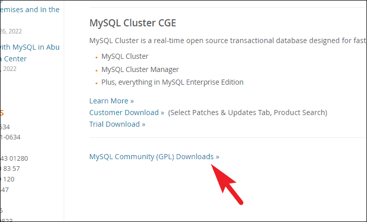 Windows 11 に MySQL をインストールする方法